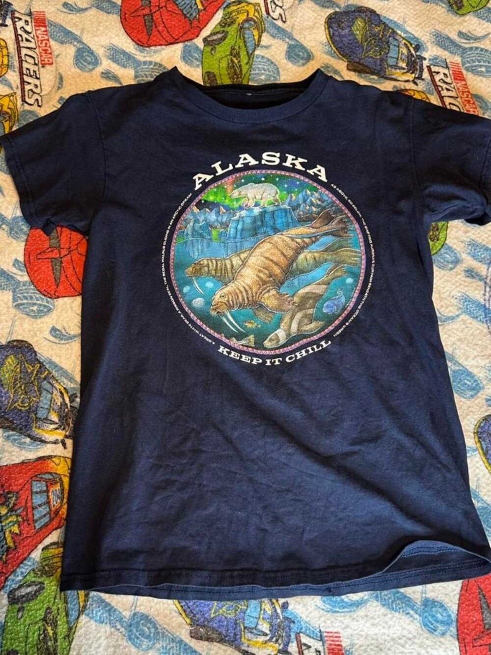 Men's Navy and Blue T-shirt